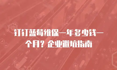 钉钉蓝莓维保一年多少钱一个月？企业避坑指南