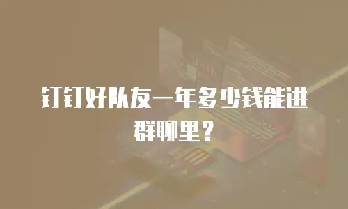 钉钉好队友一年多少钱能进群聊里？