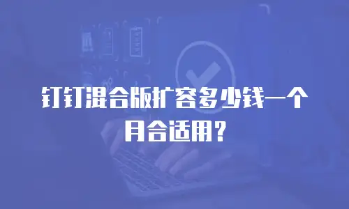 钉钉混合版扩容多少钱一个月合适用？