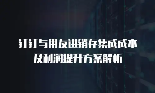 钉钉与用友进销存集成成本及利润提升方案解析