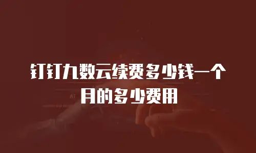 钉钉九数云续费多少钱一个月的多少费用