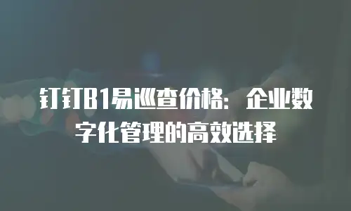 钉钉B1易巡查价格：企业数字化管理的高效选择
