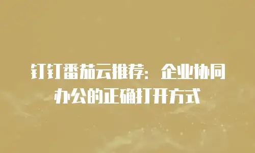 钉钉番茄云推荐：企业协同办公的正确打开方式