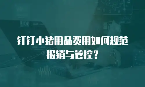 钉钉小猪用品费用如何规范报销与管控？