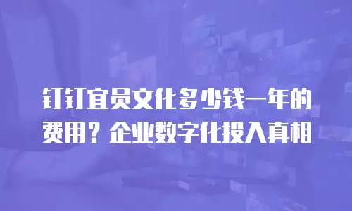 钉钉宜员文化多少钱一年的费用？企业数字化投入真相