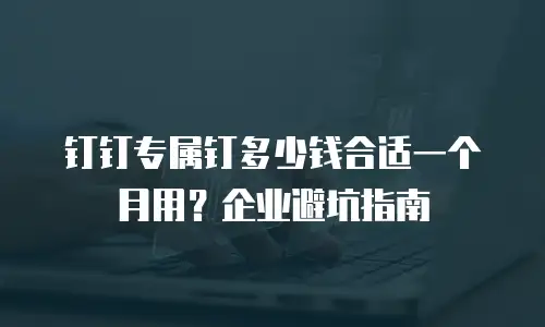 钉钉专属钉多少钱合适一个月用？企业避坑指南