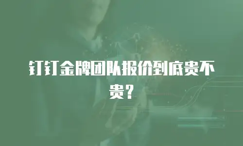 钉钉金牌团队报价到底贵不贵？