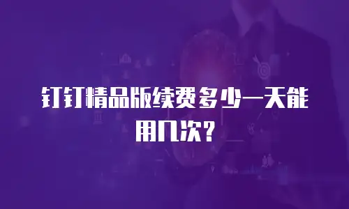 钉钉精品版续费多少一天能用几次？