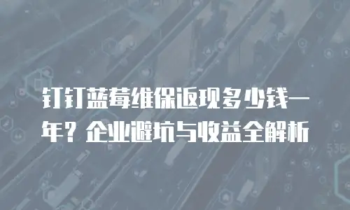 钉钉蓝莓维保返现多少钱一年？企业避坑与收益全解析