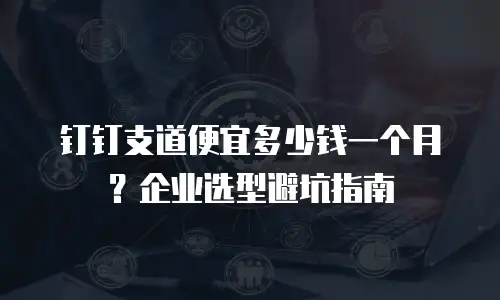 钉钉支道便宜多少钱一个月？企业选型避坑指南
