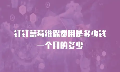 钉钉蓝莓维保费用是多少钱一个月的多少