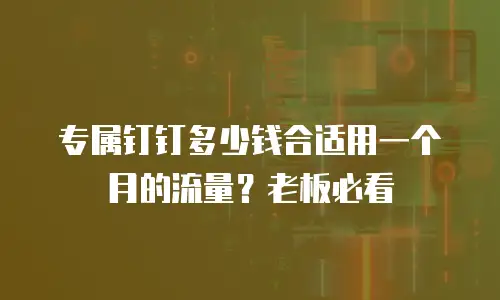 专属钉钉多少钱合适用一个月的流量？老板必看