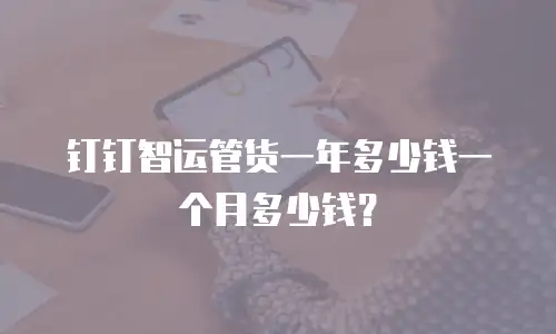 钉钉智运管货一年多少钱一个月多少钱？