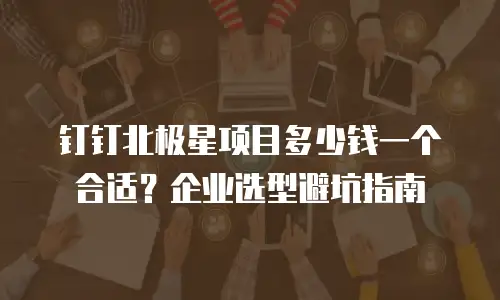 钉钉北极星项目多少钱一个合适？企业选型避坑指南
