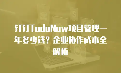 钉钉TodoNow项目管理一年多少钱？企业协作成本全解析