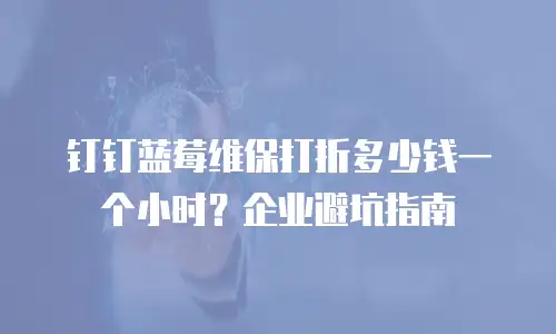 钉钉蓝莓维保打折多少钱一个小时？企业避坑指南