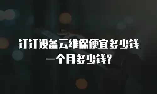 钉钉设备云维保便宜多少钱一个月多少钱？