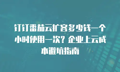 钉钉番茄云扩容多少钱一个小时使用一次？企业上云成本避坑指南