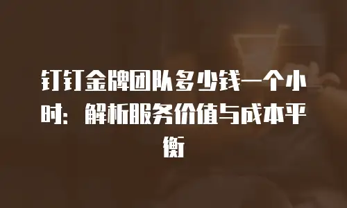 钉钉金牌团队多少钱一个小时：解析服务价值与成本平衡