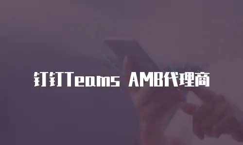 钉钉Teams AMB代理商