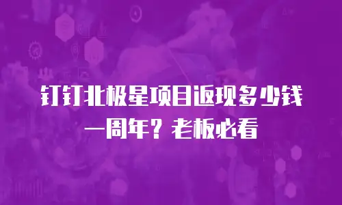 钉钉北极星项目返现多少钱一周年？老板必看