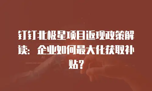 钉钉北极星项目返现政策解读：企业如何最大化获取补贴？