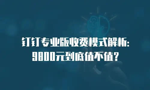 钉钉专业版收费模式解析：9800元到底值不值？
