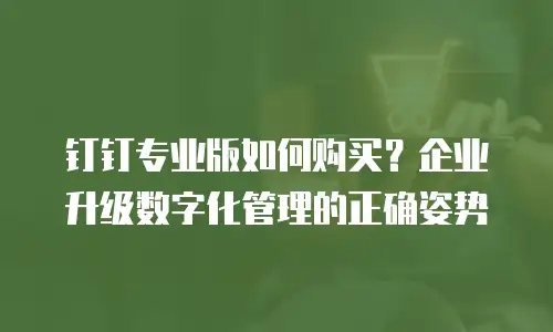 钉钉专业版如何购买？企业升级数字化管理的正确姿势