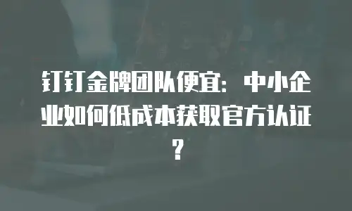 钉钉金牌团队便宜：中小企业如何低成本获取官方认证？