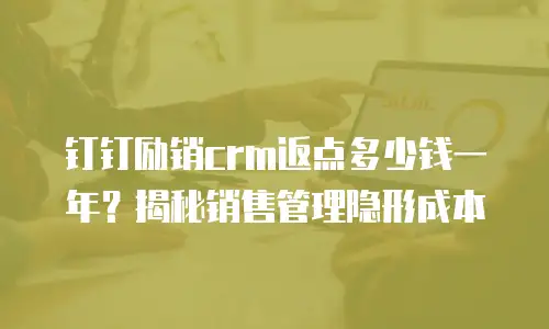 钉钉励销crm返点多少钱一年？揭秘销售管理隐形成本