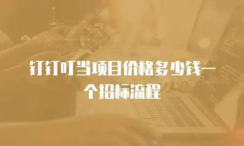 钉钉叮当项目价格多少钱一个招标流程