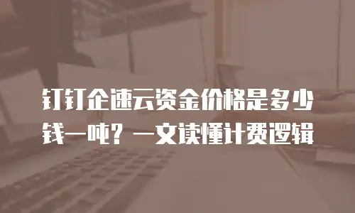 钉钉企速云资金价格是多少钱一吨？一文读懂计费逻辑