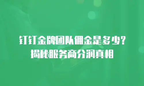 钉钉金牌团队佣金是多少？揭秘服务商分润真相