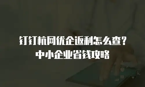钉钉杭网优企返利怎么查？中小企业省钱攻略