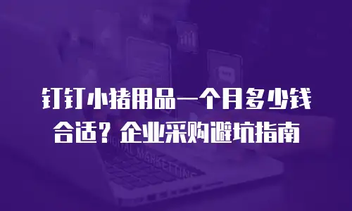 钉钉小猪用品一个月多少钱合适？企业采购避坑指南