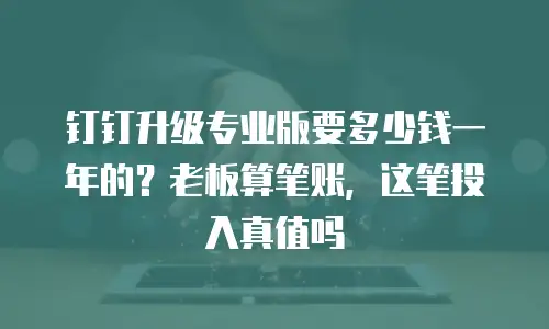 钉钉升级专业版要多少钱一年的？老板算笔账，这笔投入真值吗