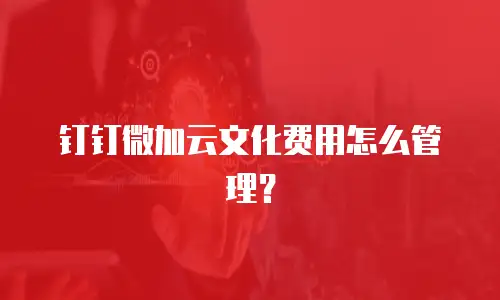钉钉微加云文化费用怎么管理？