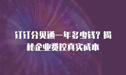 钉钉分贝通一年多少钱？揭秘企业费控真实成本