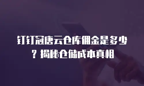 钉钉冠唐云仓库佣金是多少？揭秘仓储成本真相
