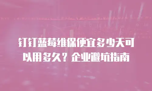 钉钉蓝莓维保便宜多少天可以用多久？企业避坑指南