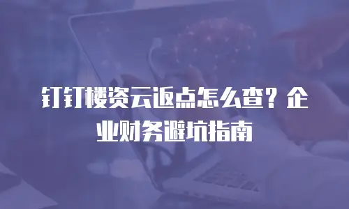 钉钉楼资云返点怎么查？企业财务避坑指南