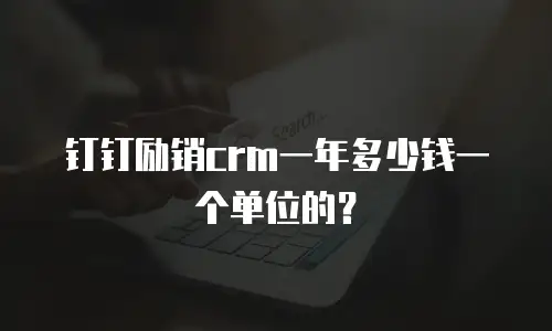 钉钉励销crm一年多少钱一个单位的？