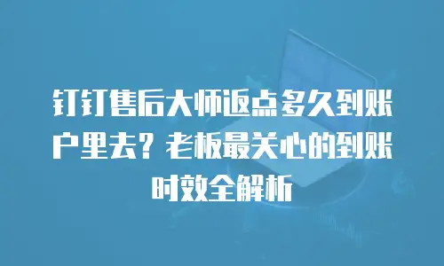 钉钉售后大师返点多久到账户里去？老板最关心的到账时效全解析