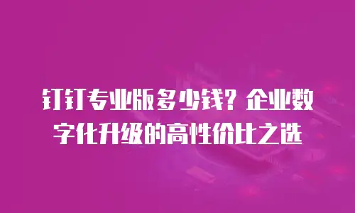 钉钉专业版多少钱？企业数字化升级的高性价比之选
