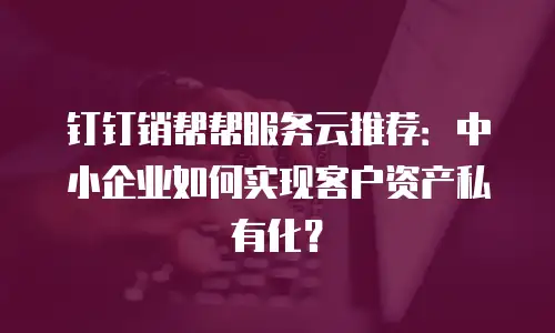 钉钉销帮帮服务云推荐：中小企业如何实现客户资产私有化？