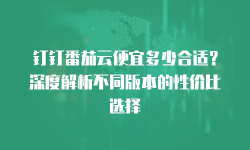 钉钉番茄云便宜多少合适？深度解析不同版本的性价比选择