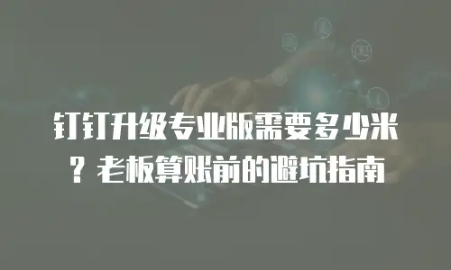 钉钉升级专业版需要多少米？老板算账前的避坑指南
