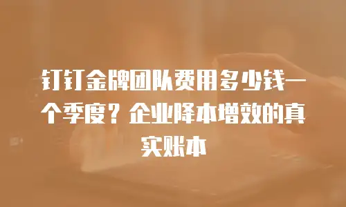 钉钉金牌团队费用多少钱一个季度？企业降本增效的真实账本
