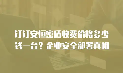 钉钉安恒密盾收费价格多少钱一台？企业安全部署真相