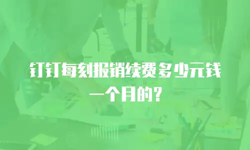 钉钉每刻报销续费多少元钱一个月的？